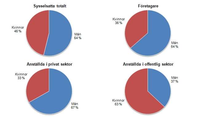 Cirkeldiagram som visar könsfördelningen för de sysselsatta i skärgården efter sektor