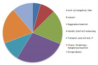 Cirkeldiagram som visar antalet företag fördelat per bransch