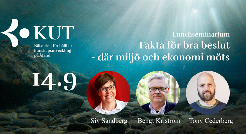Inbjudan till lunchseminarium