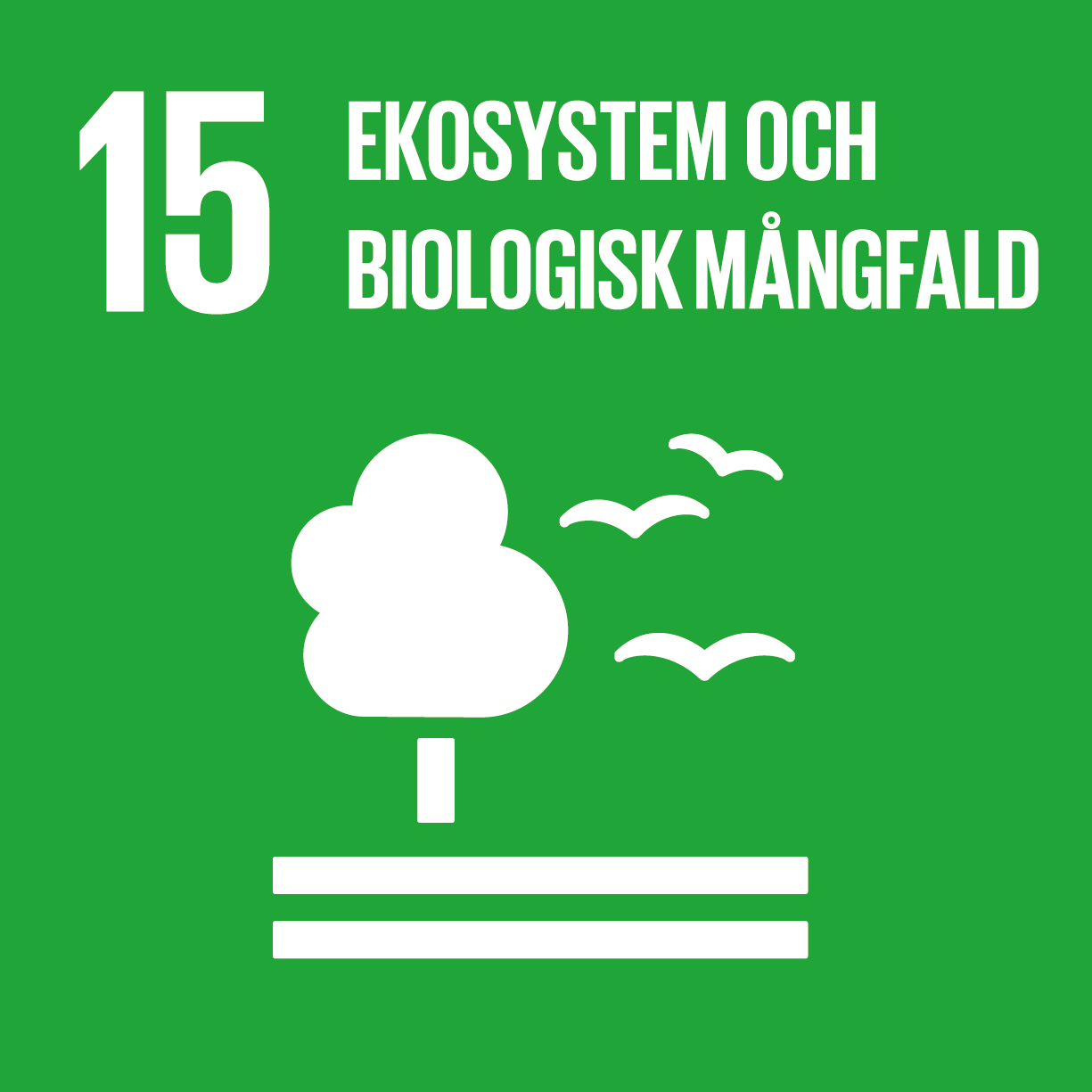​​​​​​​Mål 15: Ekosystem och biologisk mångfald