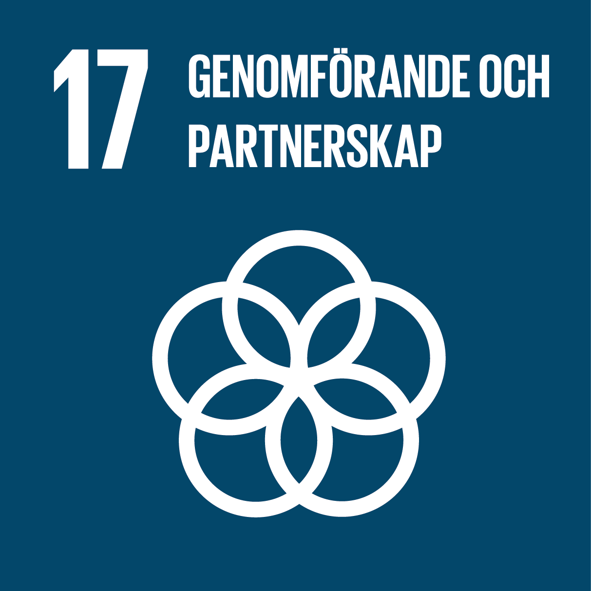 Mål 17: Genomförande och globalt partnerskap