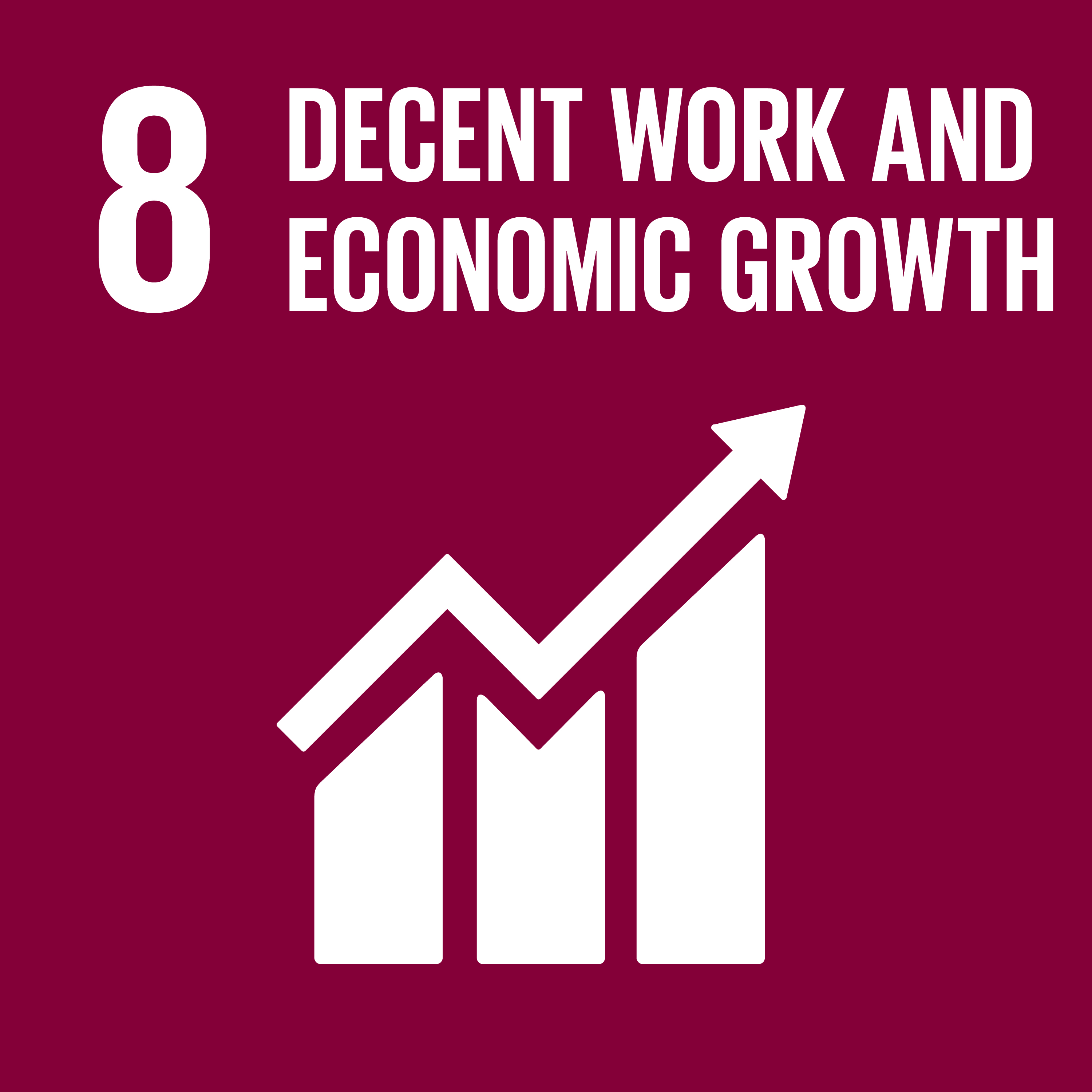 Goal 8: Decent work and economic growth