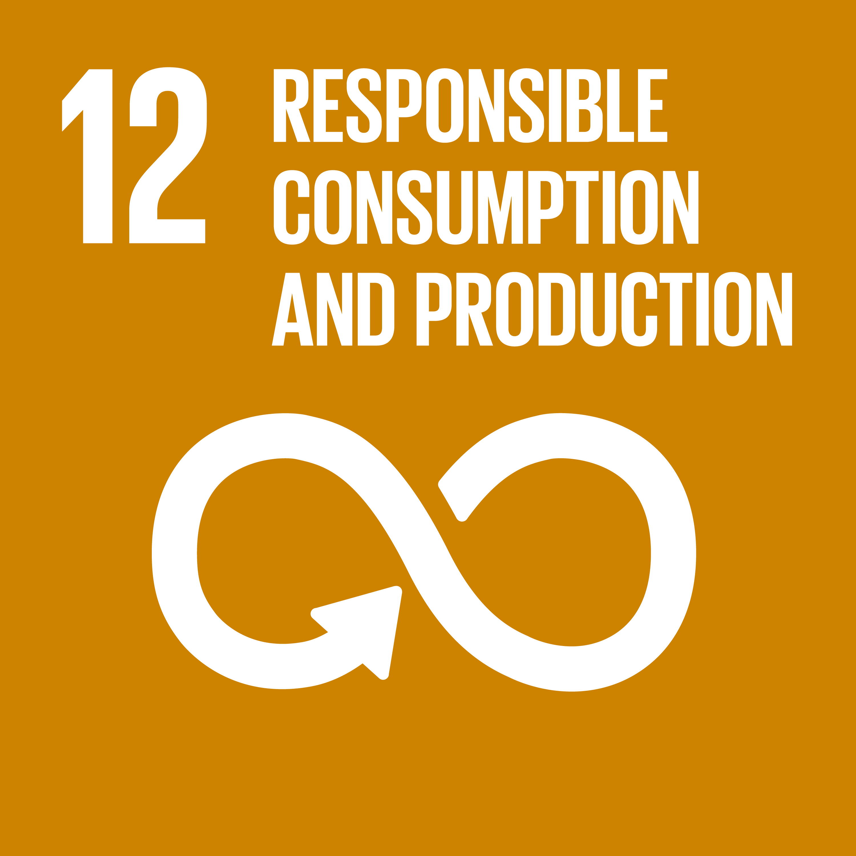 Goal 12: Responsible consumption and production