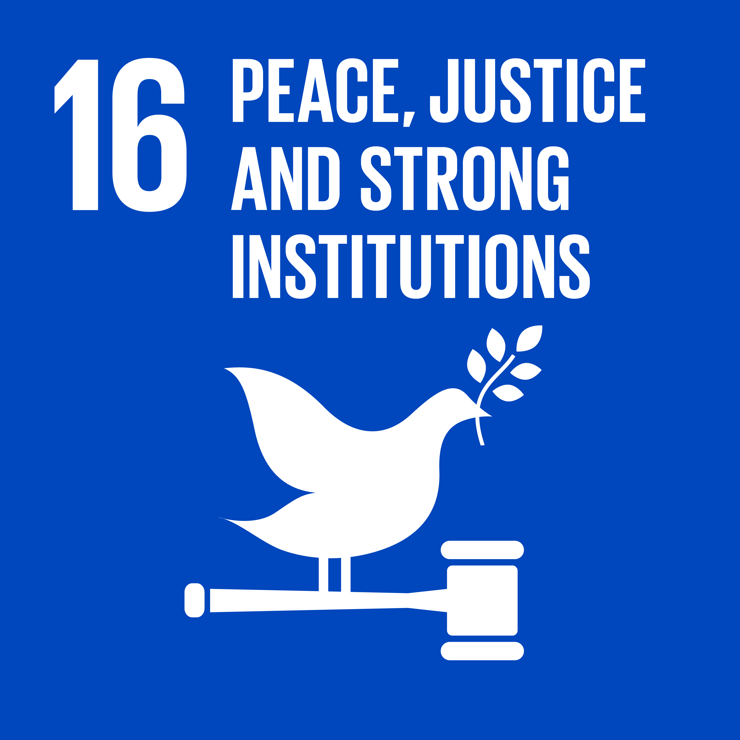 Goal 16: Peace, justice and strong institutions