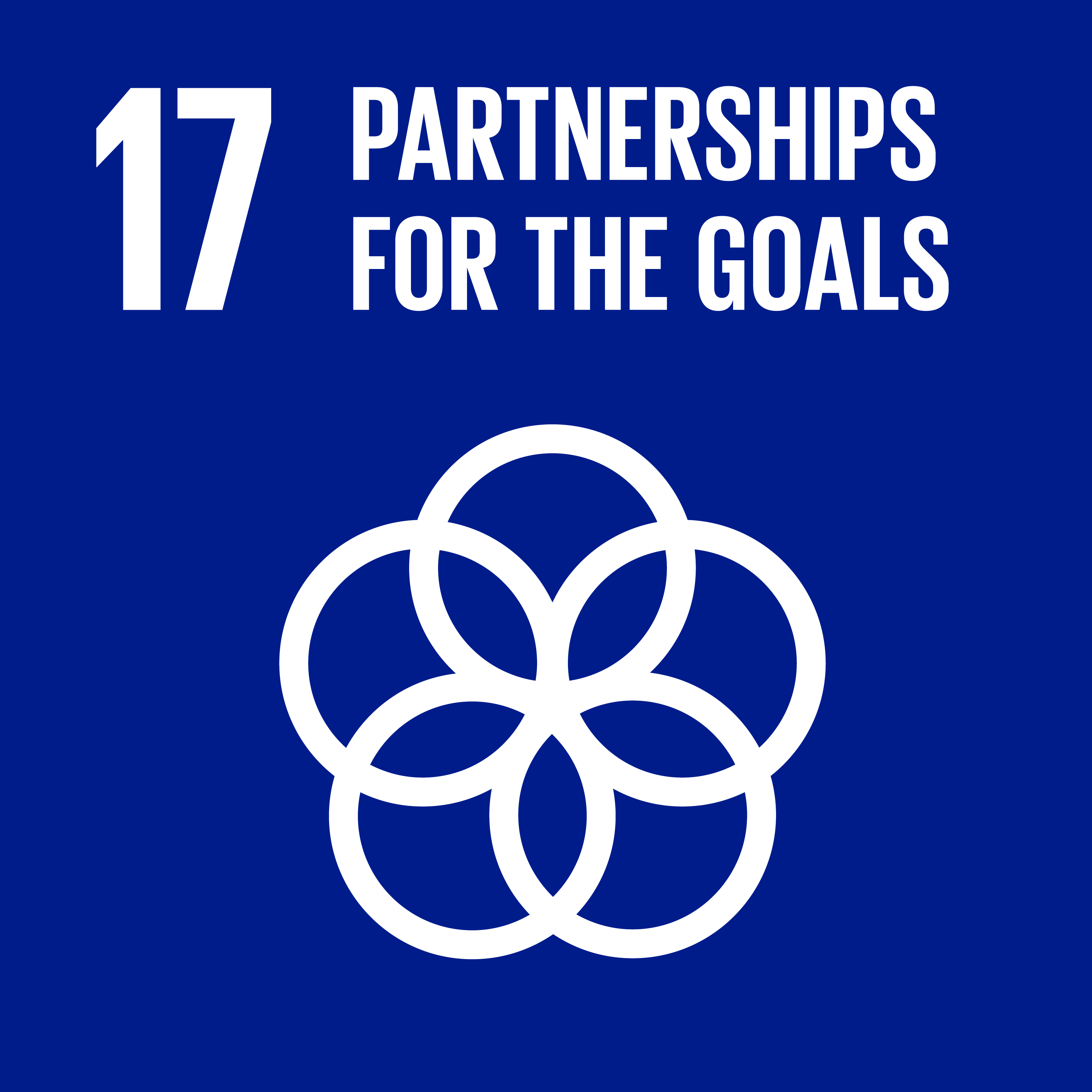 Goal 17: Partnerships for the goals