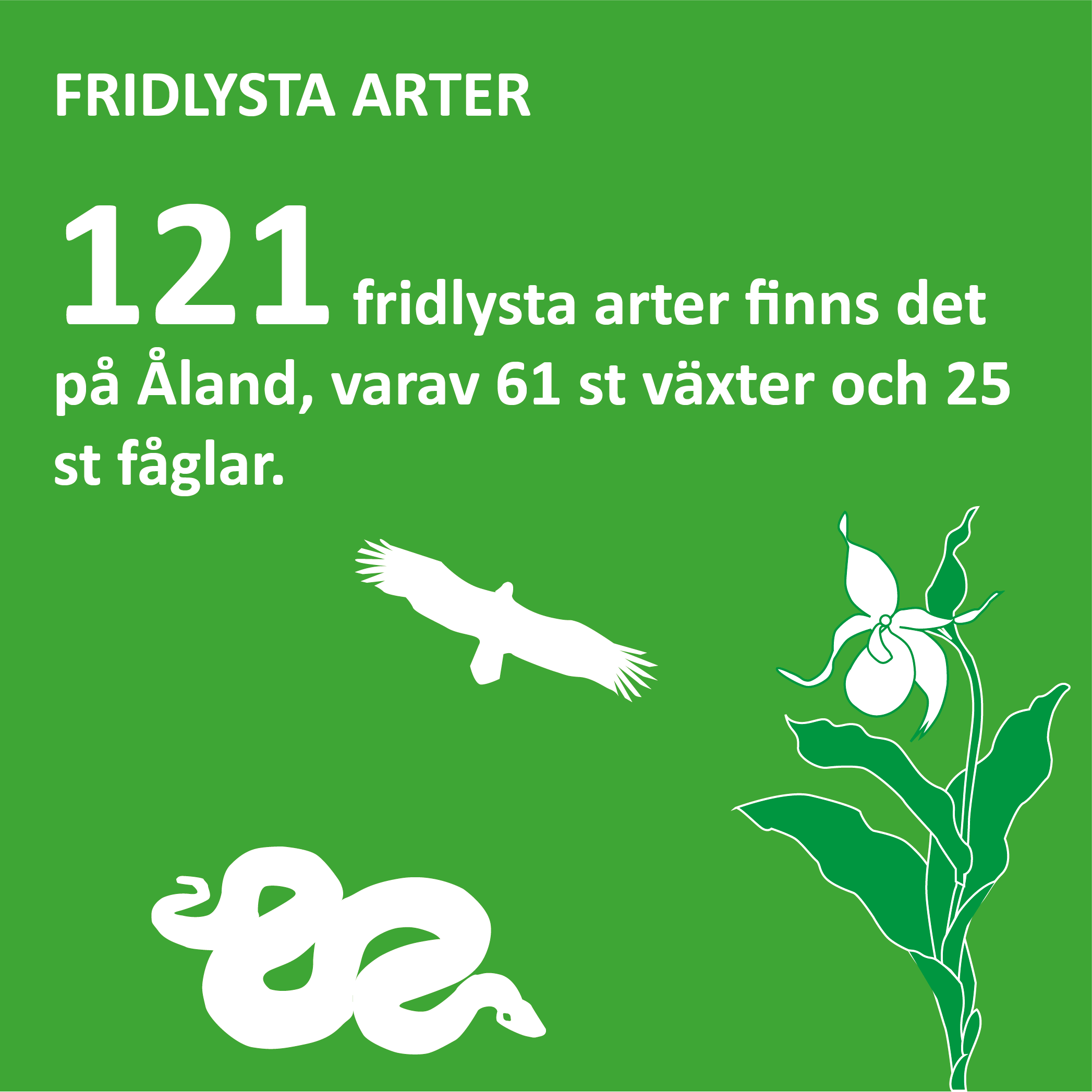 Ekolog10 Infografik om fridlysta arter på Åland