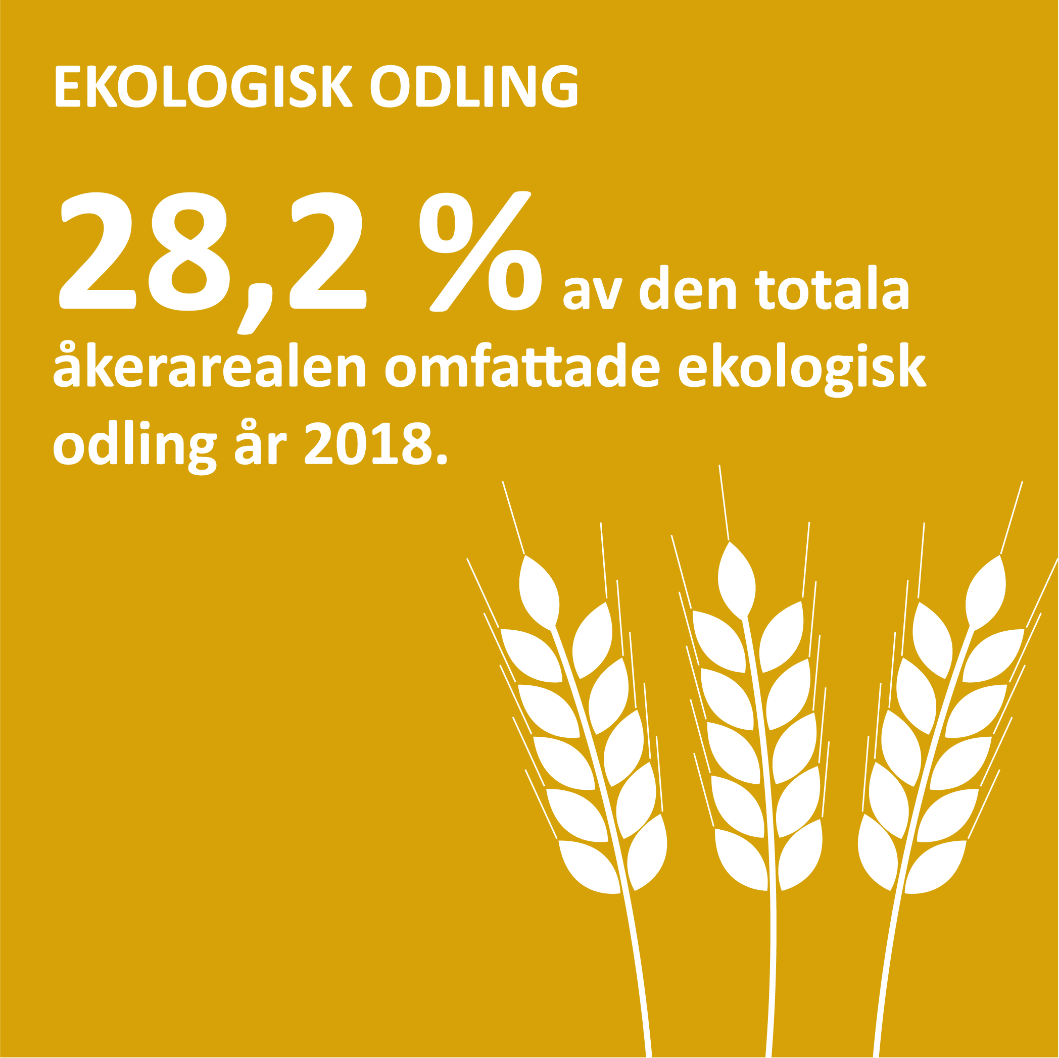 Infografik om ekologisk odling på Åland