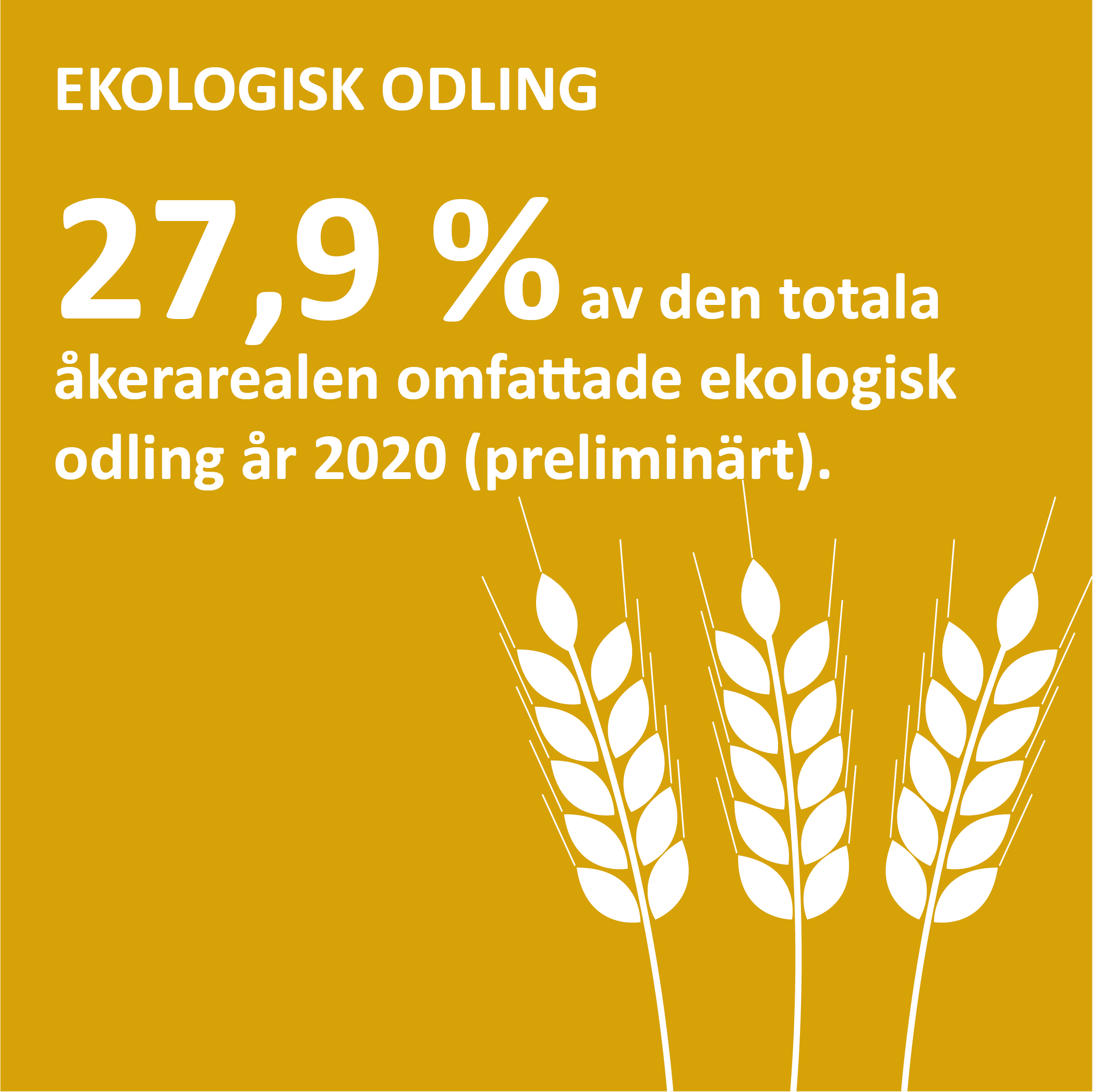 Infografik om ekologisk odling på Åland