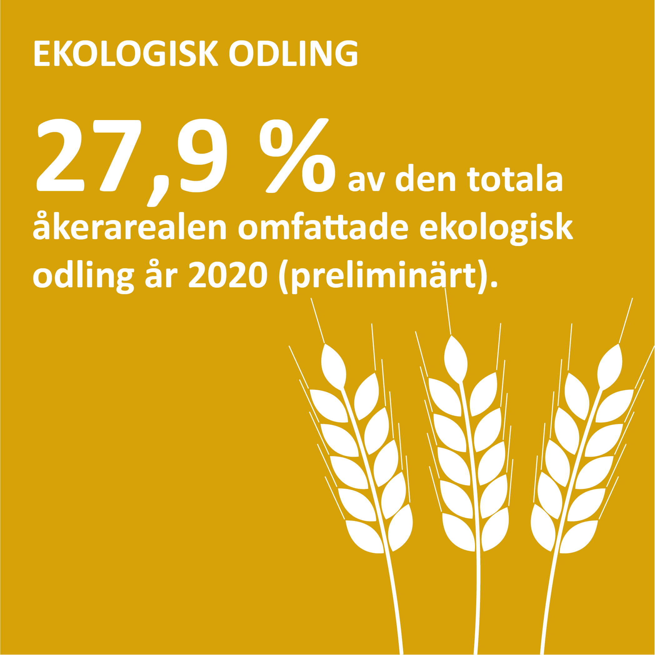 Ekolog11 Infografik om ekologisk odling på Åland