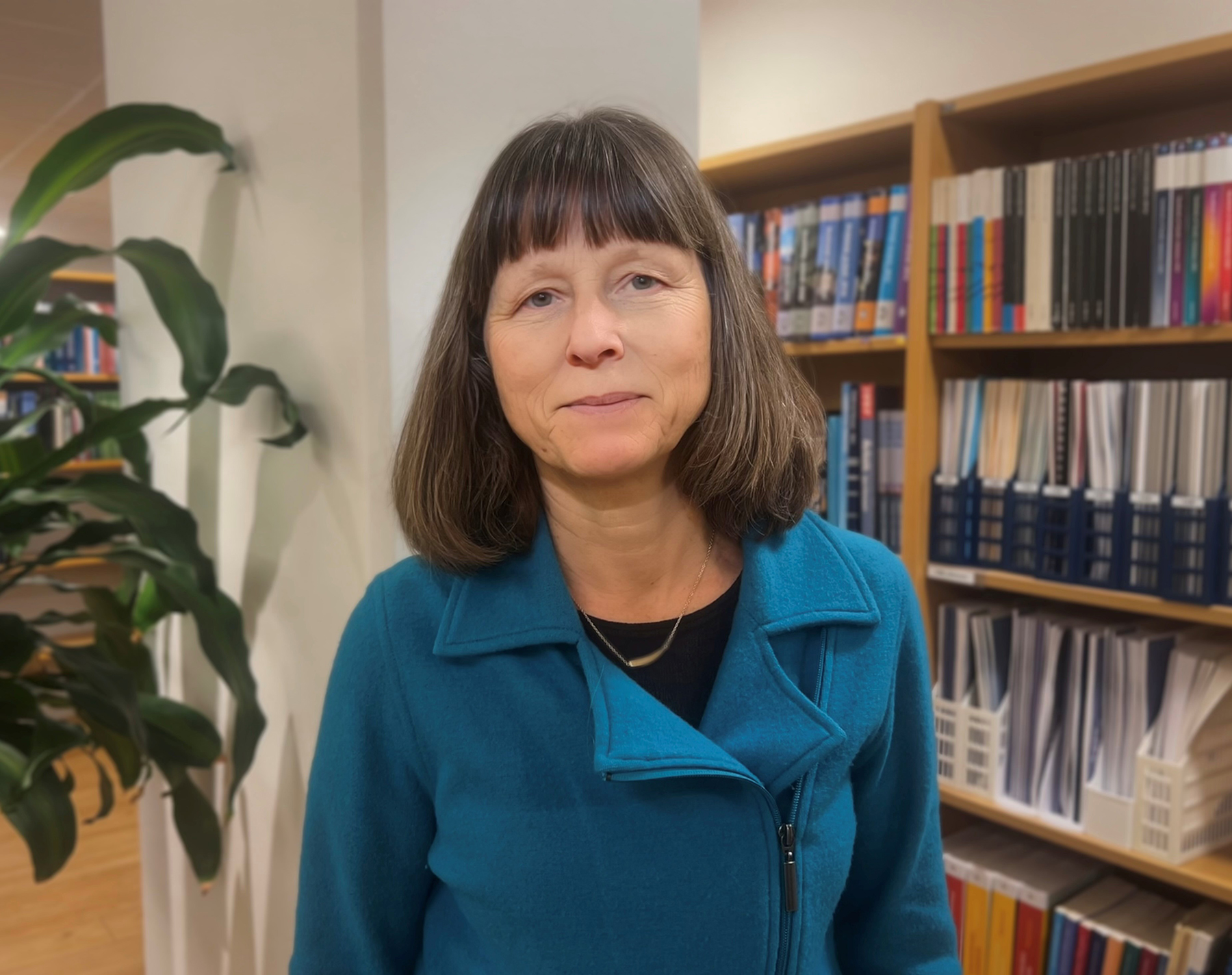 Gerd Lindqvist, statistiker ÅSUB